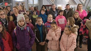 Co dělá motýl o Vánocích