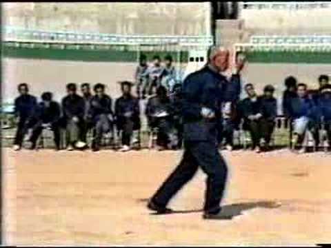 Xingyi Quan Animal Forms See video