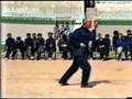 Old clip Hsing-i Animals