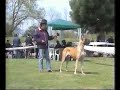 Erasmo di Tor Lupara Erasmo di Tor Lupara