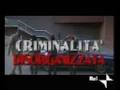 Hollywood Party-Broncoviz-Criminalità Disorganizzata