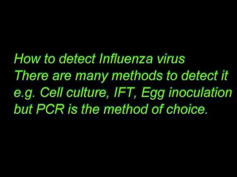 how to test for influenza a and b
