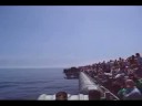 lowflyinghighspeedjet.wmv lowflyinghighspeedjet.wmv
