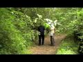 Wandern mit dem Freelancer - Stammtisch Nürnberg