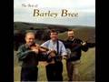 Barley Bree - The Lord of the Dance Hymn