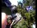 jackrabbit