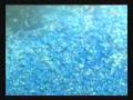 videos de A Drop of Semen