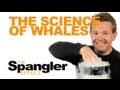 The Science of Whales