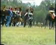 Borodino 1995