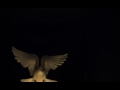 White dove
