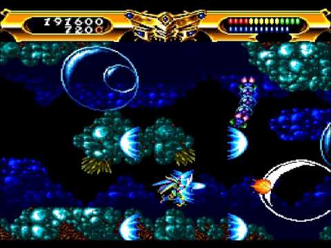 動画