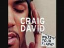 What´s Your Flava - Craig David