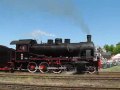 Parada Parowozów / Steam Locomotives Parade - Wolsztyn 2009
