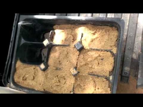 how to grow okra in winter