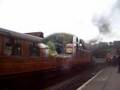 NYMR Rat Resurrection day