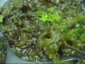 plantules ampullaria plante carnivore graine népenthés plantules ampullaria plante carnivore graine népenthés