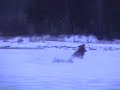 Enduro/MX bikes on ice