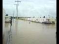 Huracan Dolly Fracc. Las Brisas