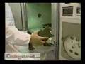 Aerospace Engineers
