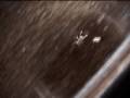 videos de Spider