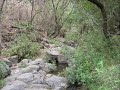 Siete Cascadas