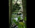 paysage paysage