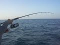 CEUTA JIGGIN