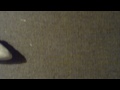 Første FUA-filmen !