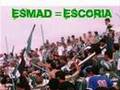 frente radical - a.c.a.b