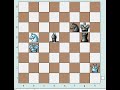 The longest mate 7 pieces 524 moves The longest mate 7 pieces 524 moves