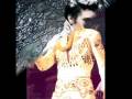 ELEVIS PRESLEY = Don't Be Cruel =