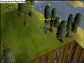 Runescape - Woodcutting Power Leveling + Money