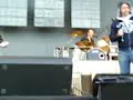 Nephew Feat. L.O.C. - Hospital (Live) Nephew Feat. L.O.C. - Hospital (Live)