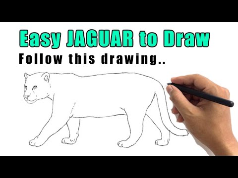video-linktoworks-How to Draw a Jaguar With This Easy Jaguar Drawing Step by ...
