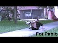 Javi - Freestyle Football