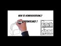 What are homeschooling parents responsible for