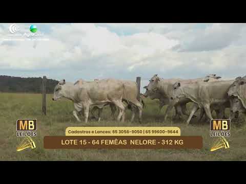 548� LEIL�O VIRTUAL MB LEIL�ES