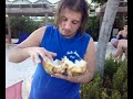Cocco mare santo domingo caraibi divertente isola dei famosi