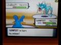 Pokemon WiFi Battle #8 vs Faenaro/O-R