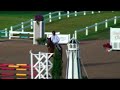 Wolfgang - Horse Shows by the Bay - Ridden by David Beisel Wolfgang - Horse Shows by the Bay - Ridden by David Beisel