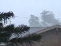 hurricane dolly