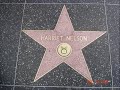 Walk Of Fame TV Walk Of Fame TV