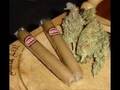 Tech N9ne get blowed screwed and chopped