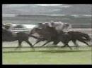 第１１５回天皇賞（春）　マヤノトップガン
