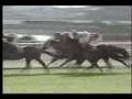 第115回天皇賞(春) マヤノトップガン