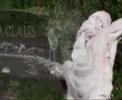 Le Syndicat - Propagation