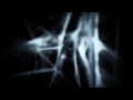 Video screenshot