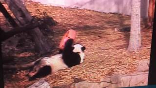 Smithsonian National Zoo