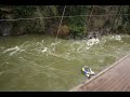 My first bungee jump - animated video - Wild Play - Nanaimo BC