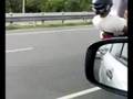 motard cool